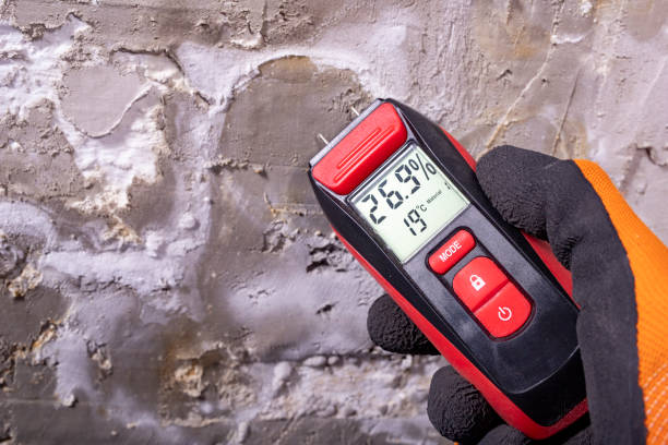 Mold Removal and Inspection in Negaunee, MI