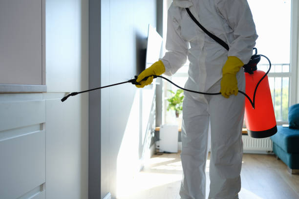 Best Commercial Mold Removal  in Negaunee, MI